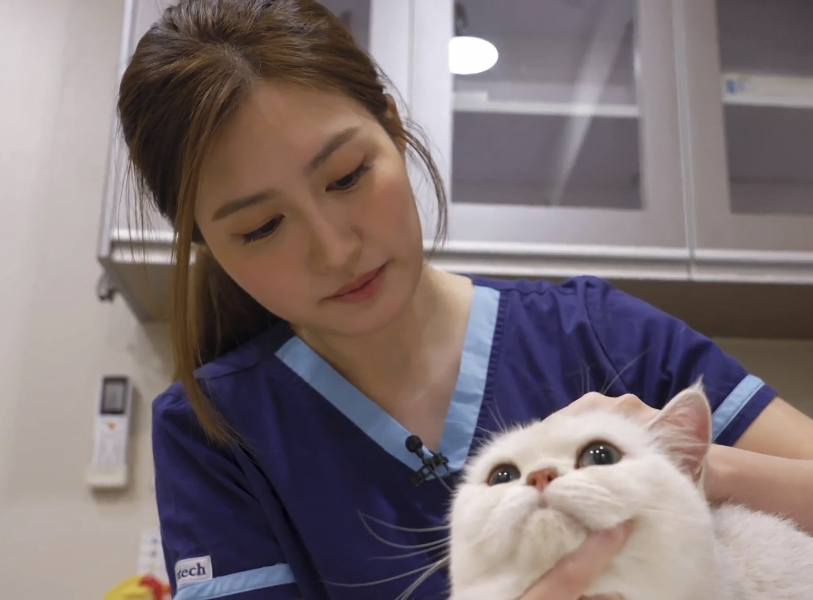 Dr Jasmine gently comforting a white cat during a check-up